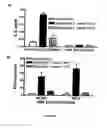 Fig. 06 - Modified pathogens for use as vaccines