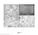 Fig. 10 - METHOD FOR PREPARING CROSSLINKED POLYELECTROLYTE MULTILAYER FILMS