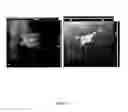 Fig. 14 - METHOD FOR PREPARING CROSSLINKED POLYELECTROLYTE MULTILAYER FILMS