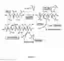 Fig. 17 - METHOD FOR PREPARING CROSSLINKED POLYELECTROLYTE MULTILAYER FILMS