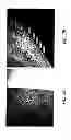 Fig. 03 - COMPOSITIONS AND METHODS FOR COATING MEDICAL IMPLANTS