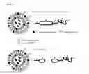 Fig. 03 - Charge triggering of self-organized nanoparticles