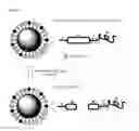Fig. 05 - Charge triggering of self-organized nanoparticles
