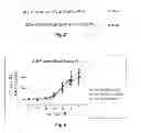 Fig. 06 - Process for preparing human relaxin-2