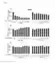 Fig. 05 - Methods of administering interferon gamma to absorb fluid from the subretinal space