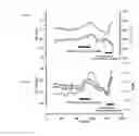 Fig. 20 - Methods of administering interferon gamma to absorb fluid from the subretinal space