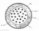 Fig. 01 - Milrinone controlled-release formulation