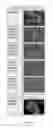 Fig. 09 - NUCLEIC ACID PARTICLES, METHODS AND USE THEREOF