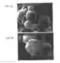Fig. 03 - Drug Delivery Systems and Use Thereof