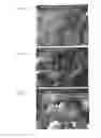 Fig. 08 - Drug Delivery Systems and Use Thereof