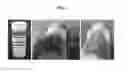 Fig. 02 - METHOD FOR PREPARING BIOCOMPATIBLE SMALL INTESTINAL MUCOSA HYDROGEL CAPABLE OF CONTROLLING IN-VIVO DEGRADATION PERIOD
