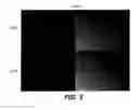 Fig. 04 - MODULATION OF AXON DEGENERATION