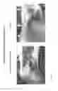 Fig. 07 - ELECTROCHEMICALLY GENERATED ANTIMICROBIAL SODIUM HYDROXIDE SOLUTION
