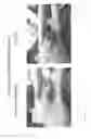 Fig. 08 - ELECTROCHEMICALLY GENERATED ANTIMICROBIAL SODIUM HYDROXIDE SOLUTION