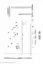 Fig. 11 - Composition for Preventing and Treating Vision Deterioration and Age-Related Macular Degeneration through Retinal Repair Using Ginseng/Red Ginseng Extracts and Ginsenoside