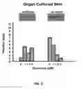 Fig. 07 - Use Of Two Botanicals With Complementary Activities For Improvement Of Skin