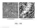 Fig. 22 - Compositions comprising enhanced graphene oxide structures and related methods