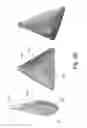 Fig. 09 - BIODEGRADABLE SHEET
