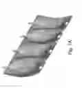 Fig. 22 - BIODEGRADABLE SHEET