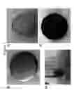Fig. 02 - Surface modification of implant devices