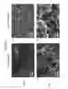 Fig. 03 - Surface modification of implant devices