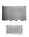 Fig. 05 - STRETCH LAMINATE