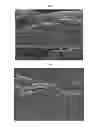 Fig. 07 - STRETCH LAMINATE