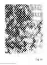 Fig. 07 - AQUEOUS INK FORMULATION CONTAINING METAL-BASED NANOPARTICLES FOR USAGE IN MICRO CONTACT PRINTING
