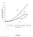 Fig. 08 - FIRE RESISTANT COMPOSITE STRUCTURE