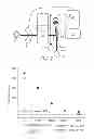 Fig. 03 - Carbon coated articles and methods for making the same