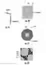 Fig. 07 - ELECTRODE AND BATTERY