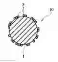 Fig. 01 - Anode and battery