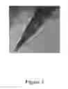 Fig. 04 - Method for preparing electrode materials and electrode materials produced therefrom