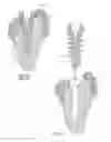 Fig. 08 - Self-osteotomizing bone implant and related method