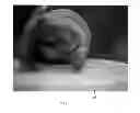 Fig. 07 - Surgical simulators and methods associated with the same