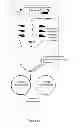 Fig. 04 - Methods, compositions and kits for a one-step DNA cloning system