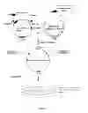 Fig. 08 - Methods, compositions and kits for a one-step DNA cloning system