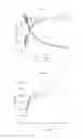 Fig. 06 - Fluorescent labeling of transfer RNA and study of protein synthesis