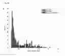 Fig. 05 - MEANS AND METHODS FOR ASSESSING SPERM NUCLEAR DNA STRUCTURE