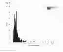 Fig. 06 - MEANS AND METHODS FOR ASSESSING SPERM NUCLEAR DNA STRUCTURE