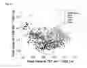 Fig. 15 - MEANS AND METHODS FOR ASSESSING SPERM NUCLEAR DNA STRUCTURE