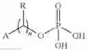 Fig. 28 - HYDROLASE ENZYME SUBSTRATES AND USES THEREOF