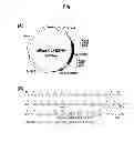 Fig. 02 - Calcium-binding photoprotein
