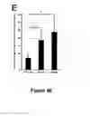 Fig. 12 - METHODS AND KITS FOR DIAGNOSING AND/OR PROGNOSING OSTEOARTHRITIS