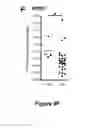 Fig. 13 - METHODS AND KITS FOR DIAGNOSING AND/OR PROGNOSING OSTEOARTHRITIS