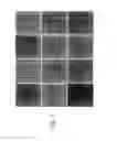 Fig. 13 - Methods of screening T1R1/T1R3 receptors for compounds that modulate umami taste signaling
