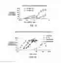 Fig. 14 - Methods of screening T1R1/T1R3 receptors for compounds that modulate umami taste signaling