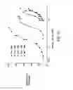 Fig. 17 - Methods of screening T1R1/T1R3 receptors for compounds that modulate umami taste signaling