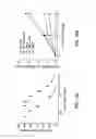 Fig. 18 - Methods of screening T1R1/T1R3 receptors for compounds that modulate umami taste signaling
