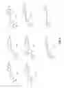 Fig. 03 - Detection of hydrogen peroxide